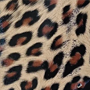 leopard mintás